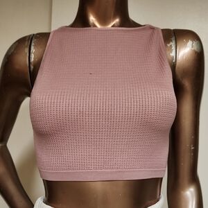 Rose Pink Sleeveless Mesh Crop Top